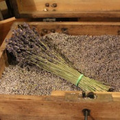 Lavendelblüten (100g)